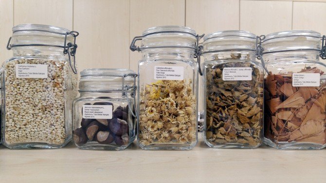 70 Yıllık Tohum Takas Edilecek