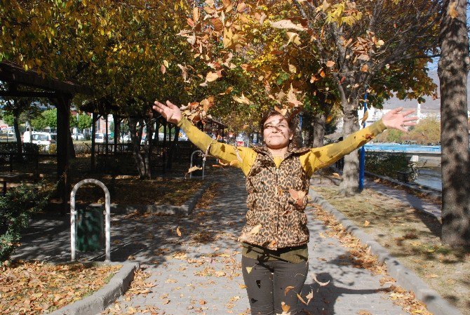 Tokat’ta Sonbahar Yaprakları Süpürülmeyecek