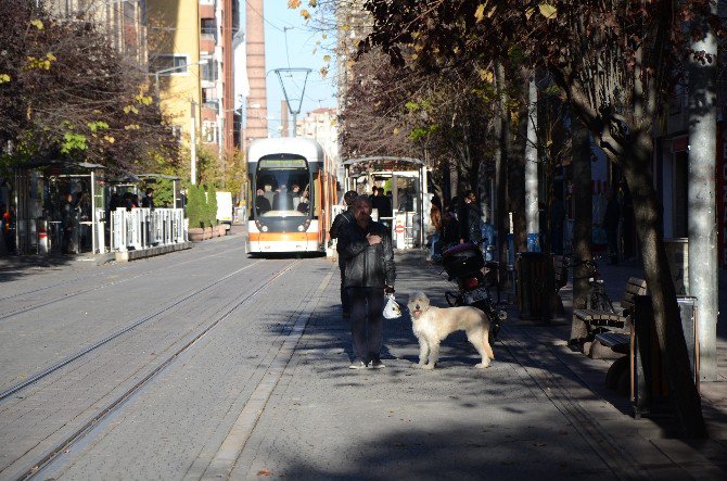 Eskişehir’de Hayat 9.05’te Durdu