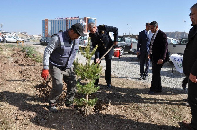 Çedaş, 15 Temmuz Şehitleri Anısına Hatıra Ormanı Oluşturdu
