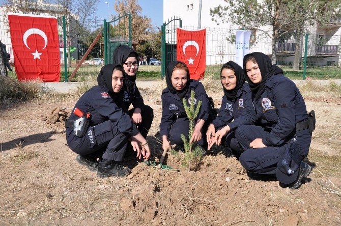 Çedaş, 15 Temmuz Şehitleri Anısına Hatıra Ormanı Oluşturdu