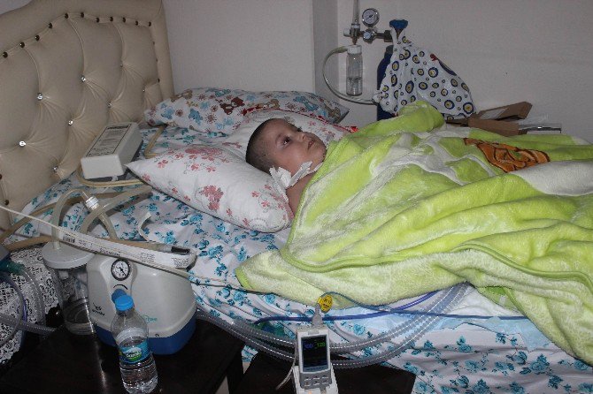 Minik Harun, İki Yıldır Gözünü Bile Kırpamıyor