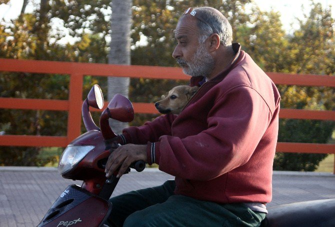 Köpeğin Motosikletle Seyahat Keyfi