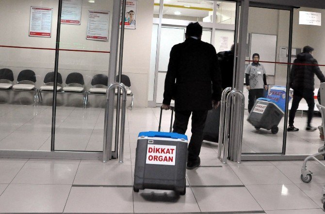 Uşak’ta Organ Nakli
