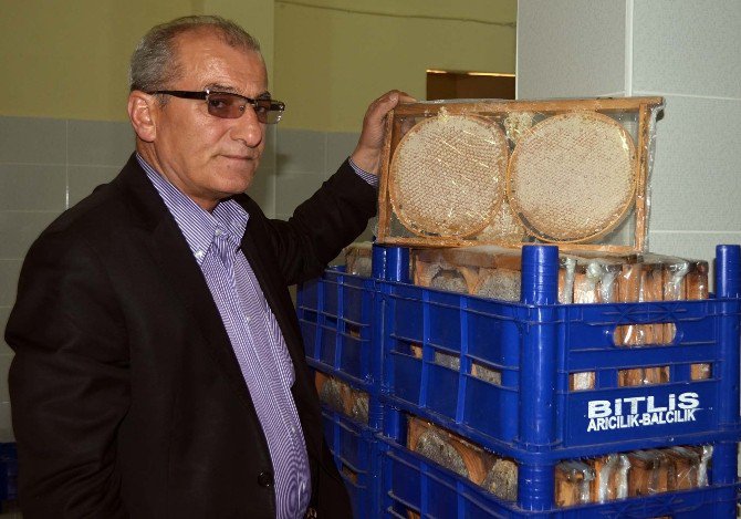 Bitlis’teki Arıcıların Sorunları