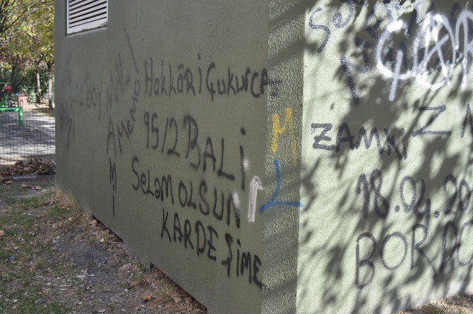 Uyuşturucu Yuvaları