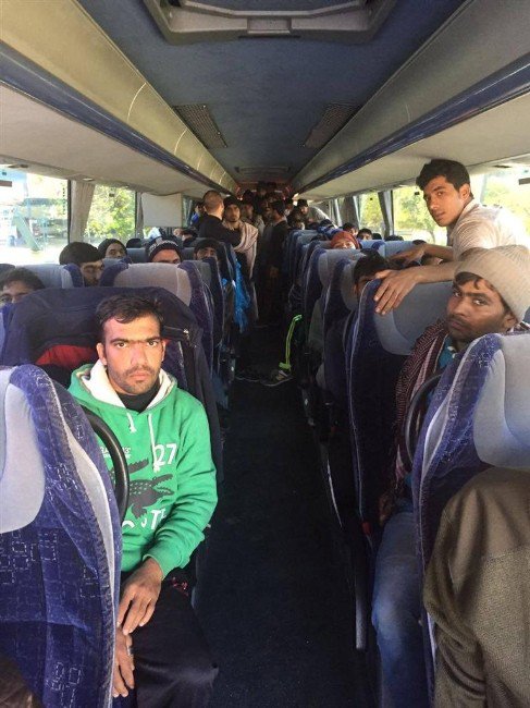 Edirne’de 60 Kaçak Göçmen Ve 4 Organizatör Yakalandı