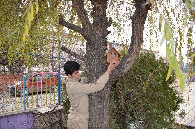 Iğdır’da Kuş Yuvası Projesi