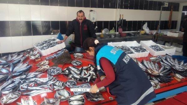 Samsun’da Bin 772 Kilo Balığa El Konuldu