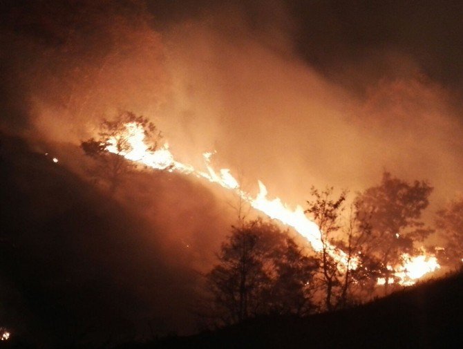 Hasandağı Eteklerinde Orman Yangını