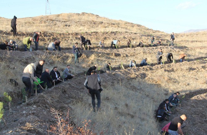 Hitit Üniversitesi Hatıra Ormanı Oluşturuldu