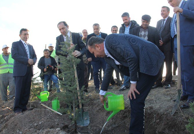 Hitit Üniversitesi Hatıra Ormanı Oluşturuldu