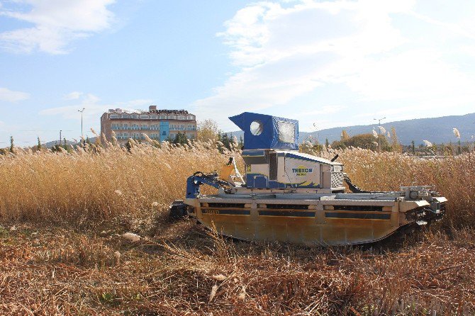Beyşehir Gölü Kıyılarında Sucul Bitkilerinin Kesimi Yeniden Başladı