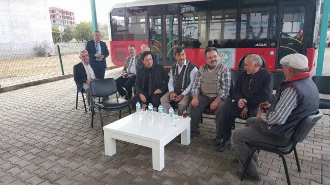 Ceviz, Ahmetli’de Yaygınlaşacak