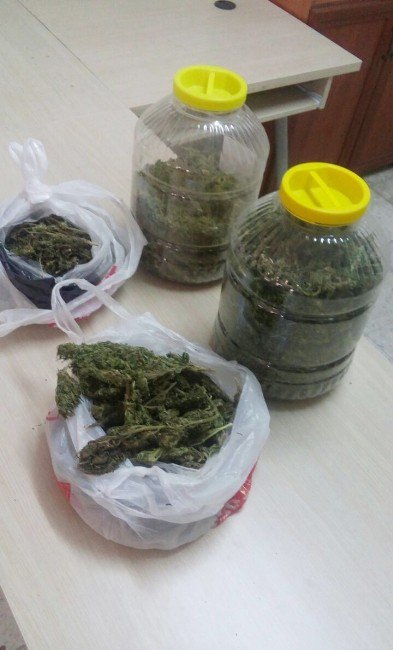 Manisa’da Çiftliğe Uyuşturucu Operasyonu