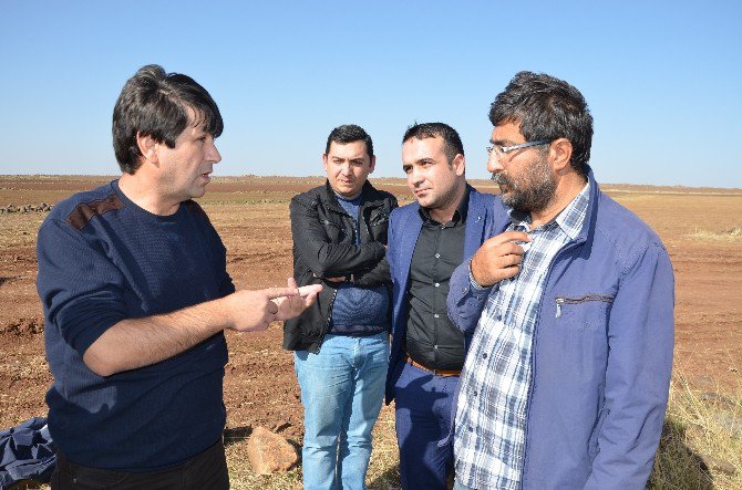 Tigem’den ’Tarla Günü’ Etkinliği