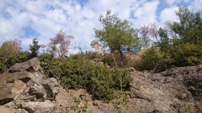 Otomobil Uçuruma Yuvarlandı: 1 Ölü