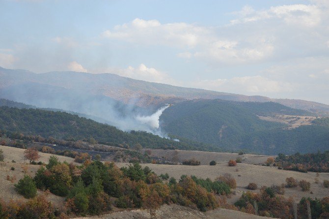 Tokat’taki Orman Yangınına Uçakla Müdahale Ediliyor