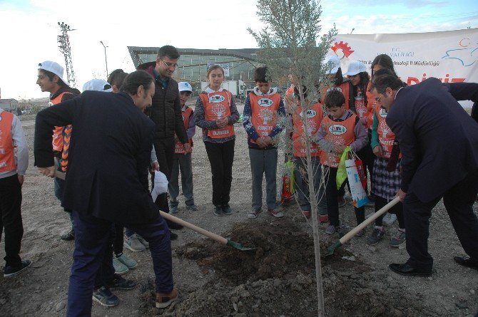 Van’da Yeşil Osb Yeşil Kss Projesi