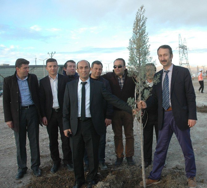 Van’da Yeşil Osb Yeşil Kss Projesi