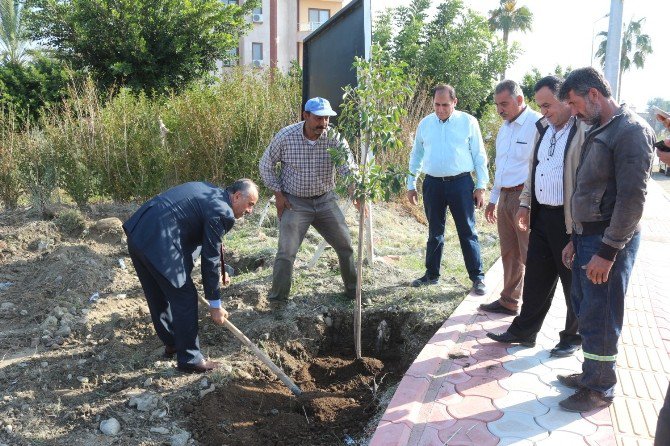 Arsuz’da Hedef Daha Yeşil Bir Kent