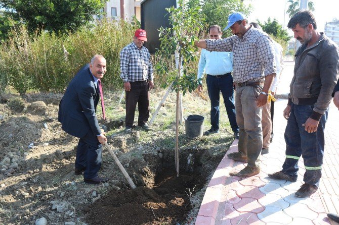 Arsuz’da Hedef Daha Yeşil Bir Kent