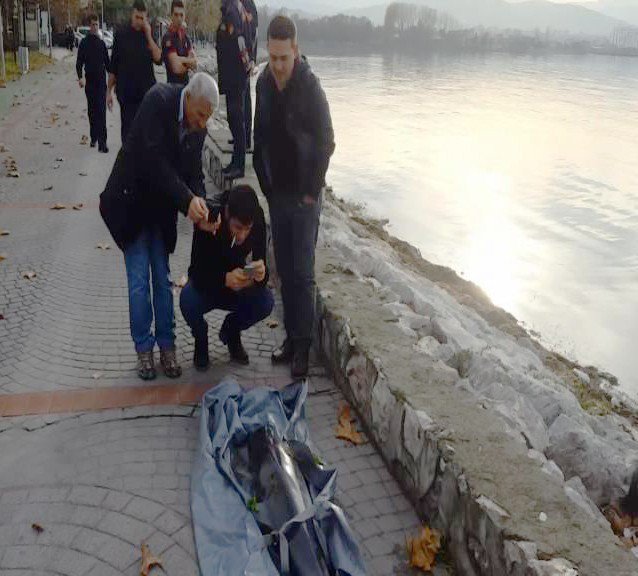 İzmit’te Ölü Yunus Karaya Vurdu