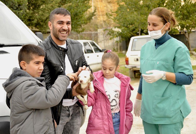 Büyükşehir, 10 Ayda Bin 51 Sokak Köpeğine Yuva Buldu