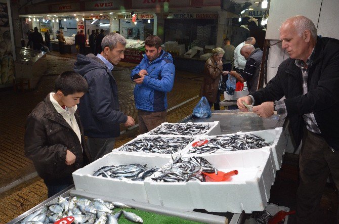 Tezgahlarda Çinakop Ve Hamsi Bolluğu