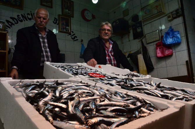 Tezgahlarda Çinakop Ve Hamsi Bolluğu