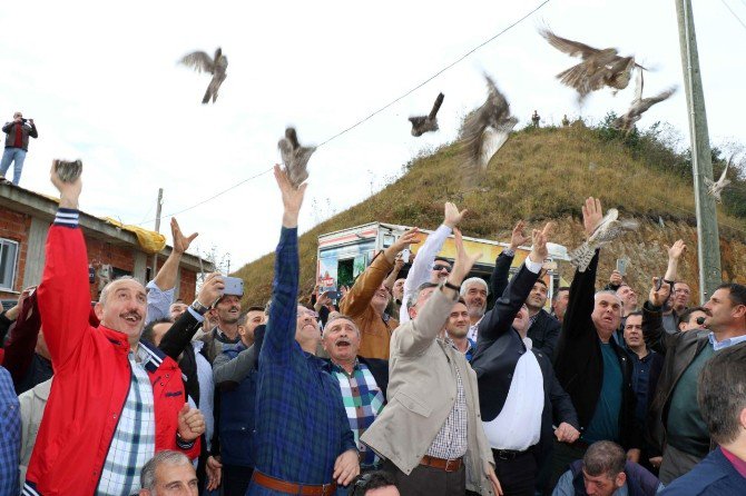 Rize’de Atmacalar Doğal Yaşama Bırakıldı