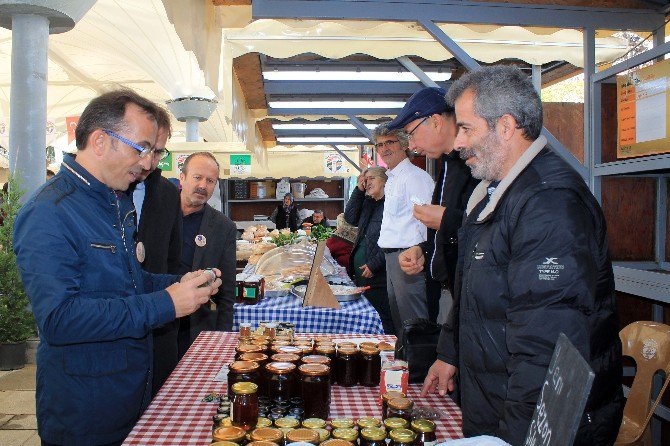 4’üncü Şile Tohum Takas Şenliği Başladı
