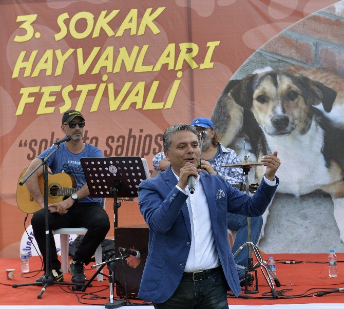 Muratpaşa’da Sokak Hayvanları Festivali Düzenlendi