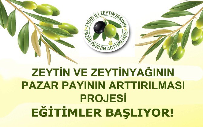 Zeytin Zeytinyağı Pazar Payının Arttırılması Projesi Kapsamında Eğitimler Başlıyor