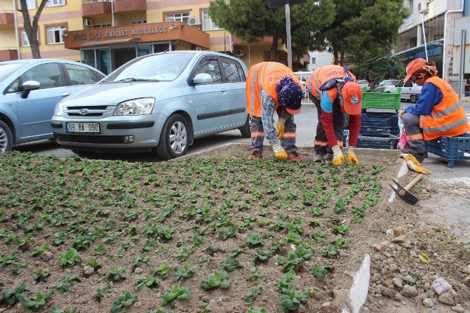 Söke’de Park Ve Bahçeler Kadın Eli İle Güzelleşiyor