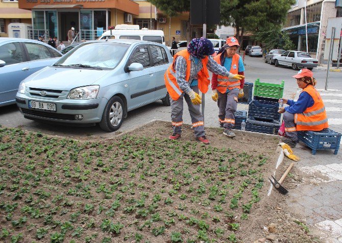 Söke’de Park Ve Bahçeler Kadın Eli İle Güzelleşiyor