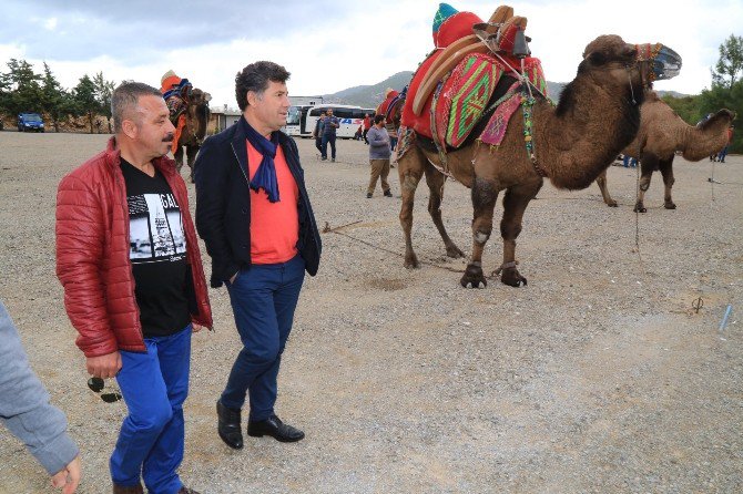 Bodrum’da Yılın İlk Güreşi