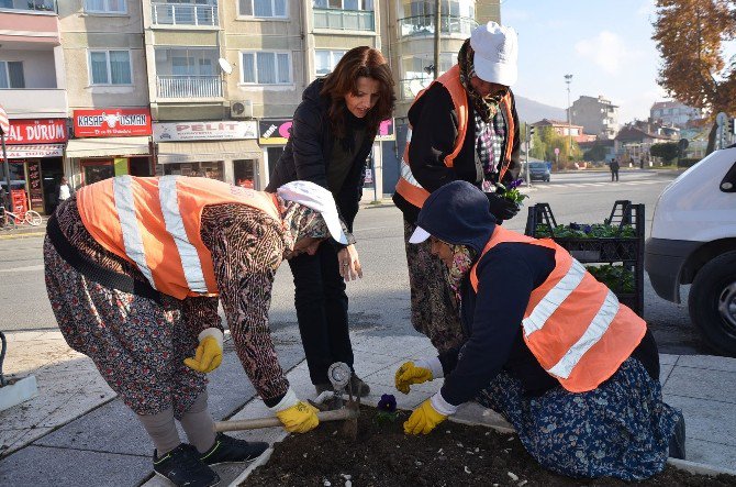 Bozüyük’te Kış Hazırlıkları