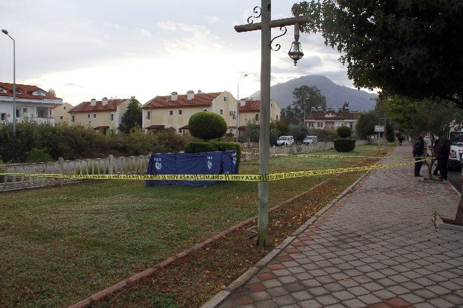 Paraşüt Pilotu Yol Kenarında Ölü Bulundu