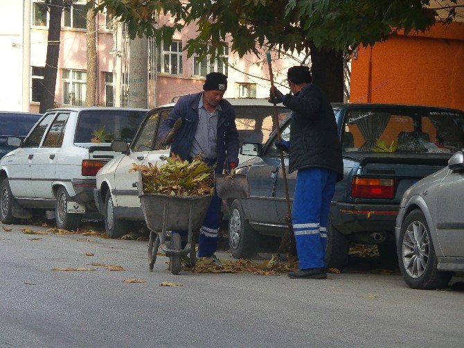 Tosya’da Çöpçüler Yaprak Temizliği İle Mücadele Ediyor