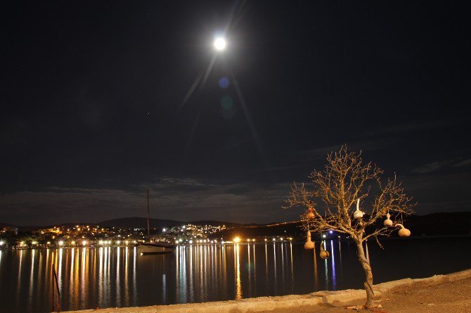 Bodrum’da Süper Aya Karabulut Engeli