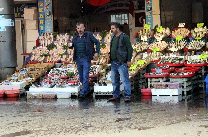 Balıkçıların Umudu Kara Kışa Kaldı