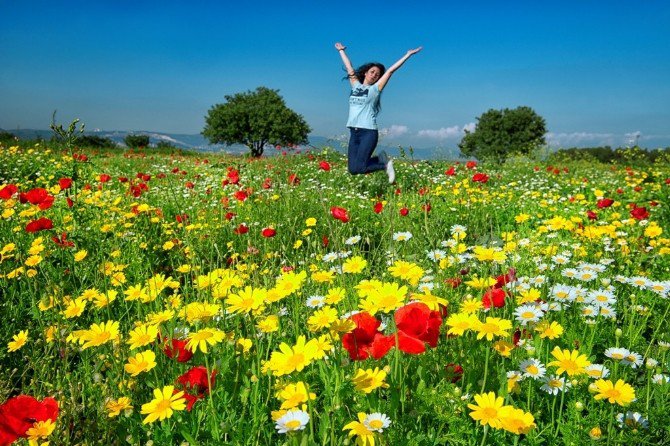 Sonbahar Fotoğrafları Yarışıyor