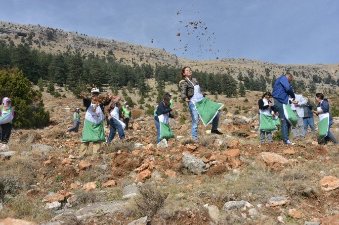 Lübnanlı Ormancıların Eğitimi Sona Erdi