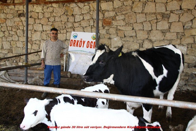 Orköy Bereket Getirdi