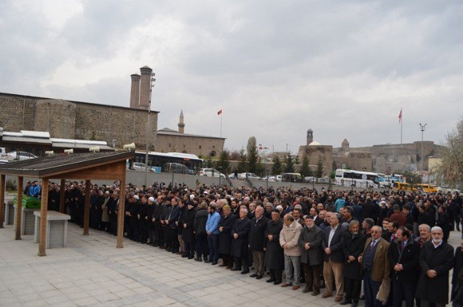 Taşkesenligil Ailesinin Acı Günü