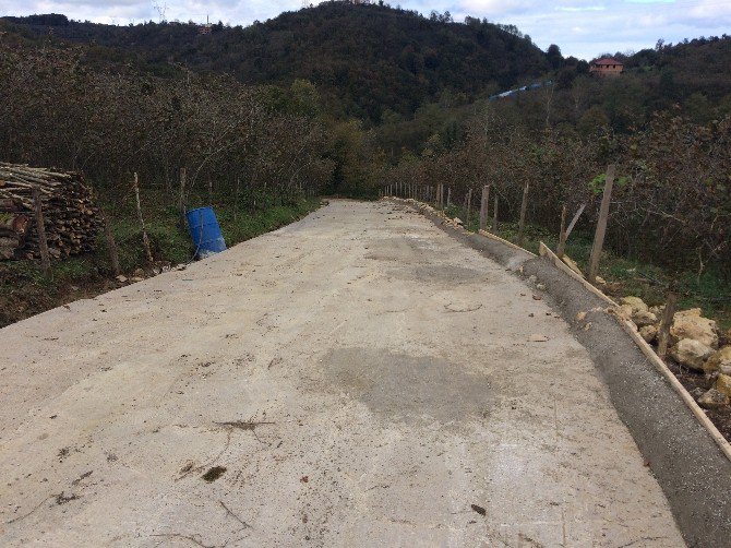 Fatsa Belediyesi’nden Kırsalda Yol Çalışması