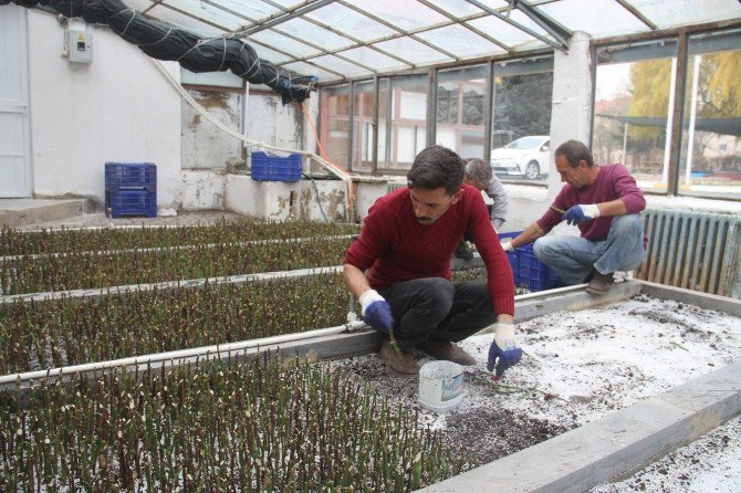 Belediye Bahar Ayları İçin Çalışmalara Başladı