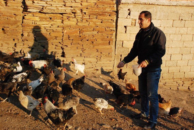 Tanesini 10 Tl’den Sattığı Yumurtalarla Servet Kazandı