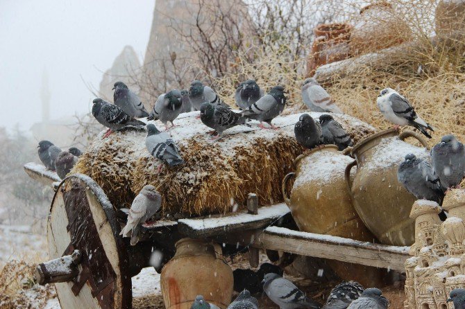 Kapadokya’ya Mevsimin İlk Karı Yağdı